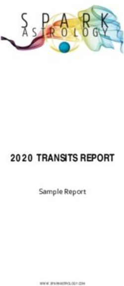 2020 TRANSITS REPORT Sample Report - Shopify