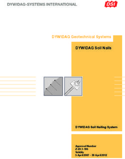 DYWIDAG Geotechnical Systems DYWIDAG Soil Nails - DYWIDAG Soil Nailing System Approval Number