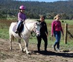 PCA Virtual Nationals Update - Pony Club Australia