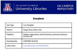 Scorpions Item Type - The Beeman Bee Removal
