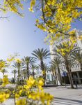 Registration Guide Spring Semester 2021 - Cal State Fullerton