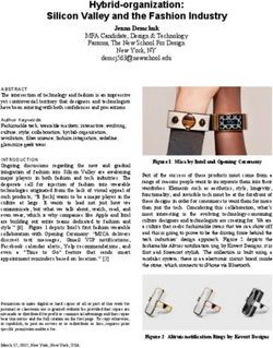 Hybrid-organization: Silicon Valley and the Fashion Industry