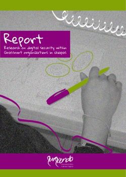 Report Informe Investigación sobre seguridad digital con organizaciones sociales de Chiapas - sursiendo