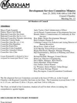 Development Services Committee Minutes - June 25, 2018, 9:00 AM to 5:00 PM Council Chamber Meeting No. 13 - Markham