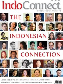 INDOCONNECT - SUN MEDIA PTE LTD
