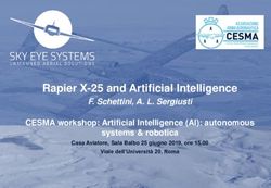Rapier X-25 and Artificial Intelligence - F. Schettini, A. L. Sergiusti CESMA workshop: Artificial Intelligence (AI): autonomous