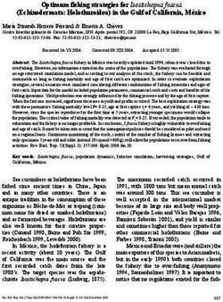 Optimum fishing strategies for Isostichopus fuscus (Echinodermata: Holothuroidea) in the Gulf of California, México