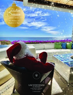 Festive Season 2020 2021 - The Holidays are Brightest in Baja - Rosewood Hotels