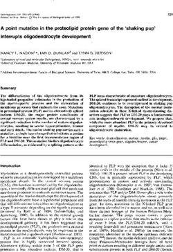A point mutation in the proteoiipid protein gene of the 'shaking pup' interrupts oiigodendrocyte development
