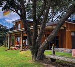 CORROSIVE MOSES HotWaterBeach - Bees