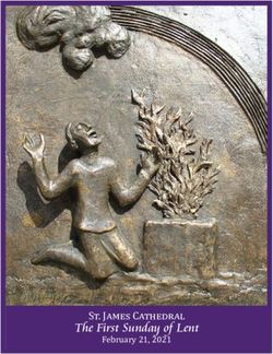 S . J C February 21, 2021 - The First Sunday of Lent - St. James Cathedral