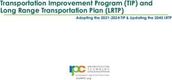 Transportation Improvement Program (TIP) and Long Range Transportation Plan (LRTP) - Adopting the 2021-2024 TIP & Updating the 2045 LRTP