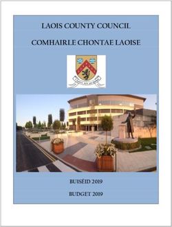 LAOIS COUNTY COUNCIL COMHAIRLE CHONTAE LAOISE - BUISÉID 2019 BUDGET 2019