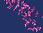 BANKRUPCTY FRAUD which lessened during the - pandemic, could increase - HMB Legal Counsel