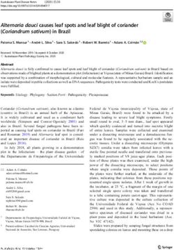 Alternaria dauci causes leaf spots and leaf blight of coriander (Coriandrum sativum) in Brazil