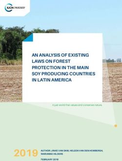 2019 AN ANALYSIS OF EXISTING LAWS ON FOREST PROTECTION IN THE MAIN SOY PRODUCING COUNTRIES IN LATIN AMERICA