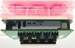 Exploring the Effects of 630 nm Wavelength of Light-Emitting Diode Irradiation on the Proliferation and Migration Ability of Human Biceps Tendon ...