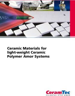Ceramic Materials for light-weight Ceramic Polymer Amor Systems