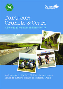 DARTMOOR: GRANITE & GEARS - CYCLE TRAILS TO HEALTH AND PROSPERITY - APPLICATION TO THE DFT LINKING COMMUNITIES - GRANT TO SUPPORT CYCLING IN ...