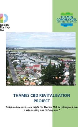 THAMES CBD REVITALISATION PROJECT - Problem statement: How might the Thames CBD be reimagined into a safe, inviting and thriving area? ...