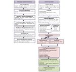 Implementing Exercise in Standard Cancer Care (Bizi Orain Hybrid Exercise Program): Protocol for a Randomized Controlled Trial - JMIR Research ...