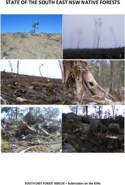 STATE OF THE SOUTH EAST NSW NATIVE FORESTS - SOUTH EAST FOREST RESCUE - Submission on the RFAs - South East Region Conservation Alliance