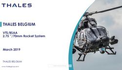 THALES BELGIUM VTS/BSAA - 2.75 ''/70mm Rocket System March 2019 THALES BELGIUM - VTS/BSAA 2.75 ''/70mm Rocket System ...