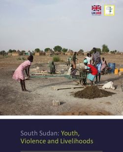 South Sudan: Youth, Violence and Livelihoods