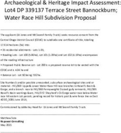 Archaeological & Heritage Impact Assessment: Lot4 DP 339137 Terrace Street Bannockburn; Water Race Hill Subdivision Proposal