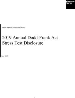 The Goldman Sachs Group, Inc - 2019 Annual Dodd-Frank Act Stress Test Disclosure