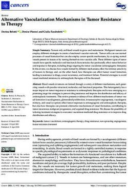 Alternative Vascularization Mechanisms in Tumor Resistance to Therapy