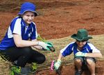 Albert Park Public School - Excellence, Innovation, Opportunity and Success