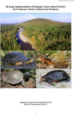 Strategic Implementation of Regional Conservation Priorities for Freshwater Turtles at Risk in the Northeast - Turtle RCN 2017 Draft - Regional ...