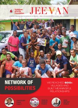 NETWORK OF POSSIBILITIES - Vodafone Fiji