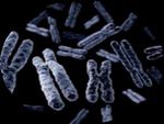 Guidance for Applicants 2018 - Medical Research Council