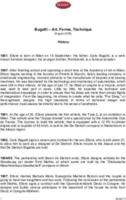 Bugatti - Art, Forme, Technique