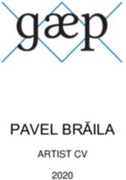 PAVEL BRĂILA ARTIST CV 2020 - gaep gallery