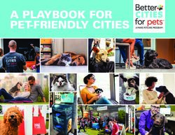 A PLAYBOOK FOR PET-FRIENDLY CITIES - Better Cities for Pets