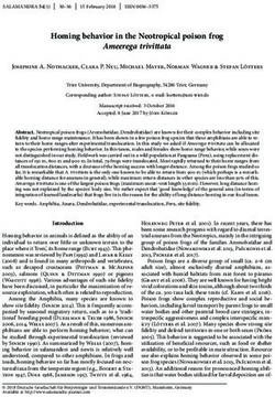 Homing behavior in the Neotropical poison frog - Salamandra