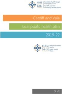 Cardiff and Vale local public health plan 2019-22 - Draft