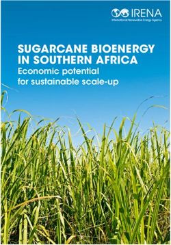 SUGARCANE BIOENERGY IN SOUTHERN AFRICA - Economic potential for sustainable scale-up - International ...