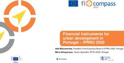 Financial instruments for urban development in Portugal - IFRRU 2020 - Abel Mascarenhas, President of the Executive Board of IFRRU 2020, Portugal ...
