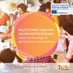 SALTO THINK TANK ON YOUTH PARTICIPATION: closer to the edge of participation and activism