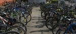 BARRIERS TO ACTIVE TRANSPORT IN PALMERSTON NORTH: EXPERIENCES AND PERSPECTIVES OF SECONDARY SCHOOL STUDENTS - palmerston north: experiences ...