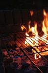 The dirty business of barbecue charcoal 2018 - Market analysis, barbecue charcoal 2018