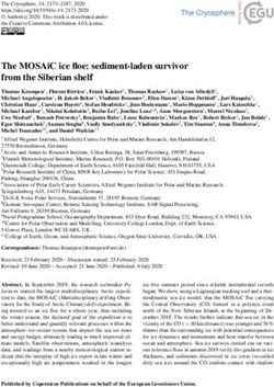 THE MOSAIC ICE FLOE: SEDIMENT-LADEN SURVIVOR FROM THE SIBERIAN SHELF