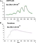 Novaferon, a novel recombinant protein produced by DNA-shuffling of IFN- α, shows antitumor effect in vitro and in vivo