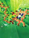 Advantageous Extraction, Cleanup, and UHPLC-MS/MS Detection of Patulin Mycotoxin in Dietary Supplements and Herbal Blends Containing Hawberry from ...