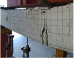 Flexural Behaviour of RC Beams Reinforced - ijirset