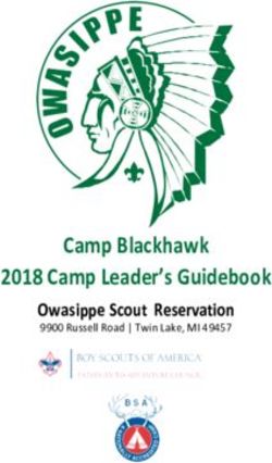 Camp Blackhawk 2018 Camp Leader's Guidebook - Owasippe Scout Reservation 9900 Russell Road | Twin Lake, MI 49457 - owasippe scout ...